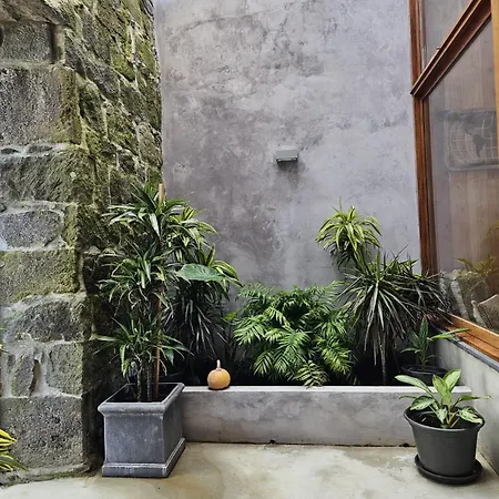 Tatil Evi Casa Do Cinzeiro, Acores - With Private Pool! Nordeste (Azores)