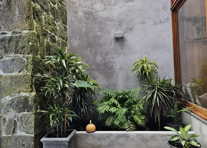 Dom wakacyjny Casa Do Cinzeiro, Acores - With Private Pool! Nordeste (Azores)